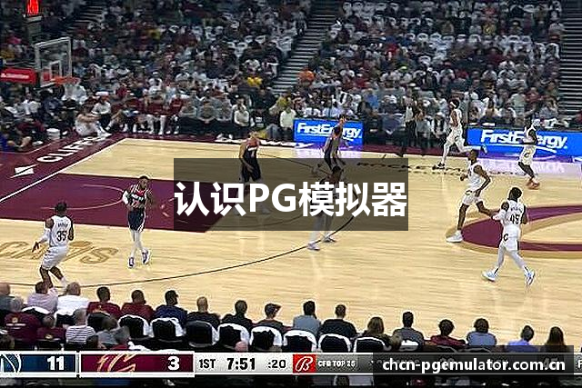 认识PG模拟器
